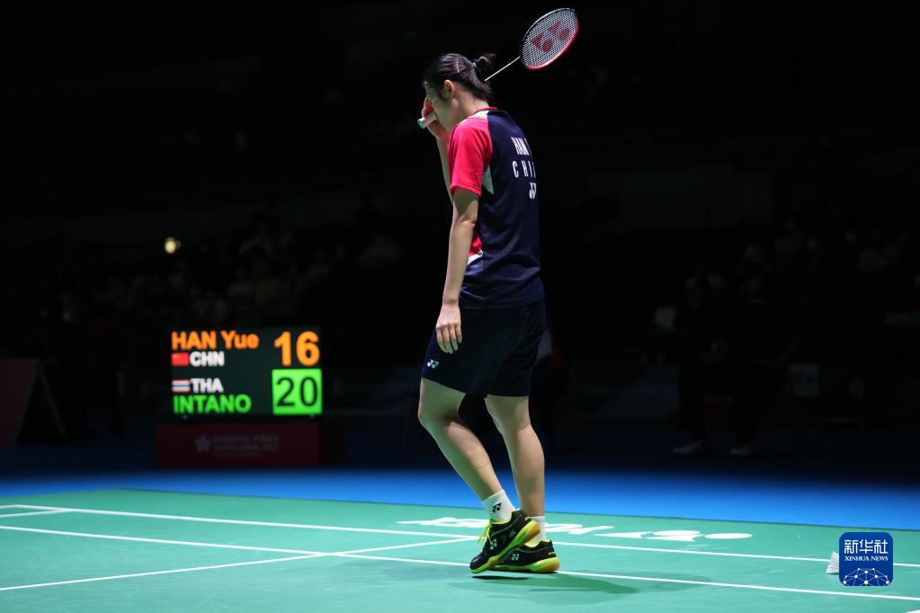 红土高手参 红土高手参